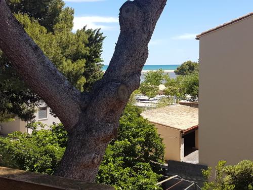 un arbre avec vue sur l'océan dans l'établissement LA FRANQUI proche plage - vue mer - wifi - clim, à Leucate