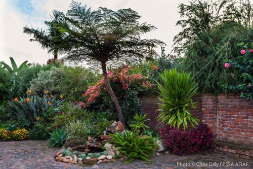 a garden with a palm tree and a brick wall at Paradise Found in Knysna