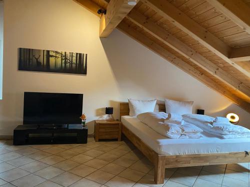 a bedroom with a bed and a flat screen tv at Ferienwohnung Hubertus in Holzkirchen