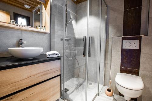 a bathroom with a shower and a toilet and a sink at Les Mazots des Fées in Morzine
