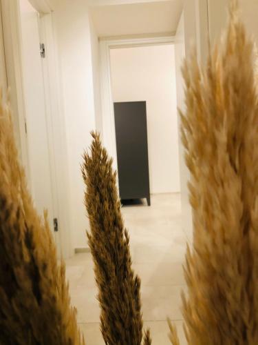 a room with two tall trees and a black screen at L Antico Forno Bari Centro Storico in Bari