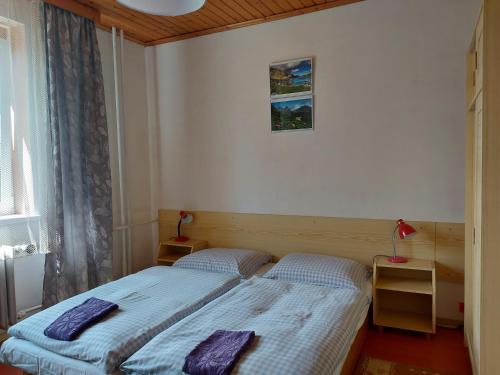 Postel nebo postele na pokoji v ubytování Pension MAAN