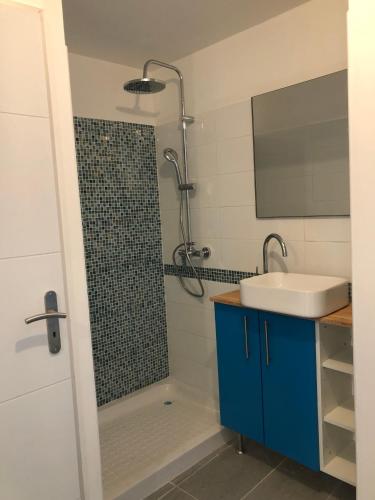 une salle de bain avec douche et lavabo dans l'établissement Appartement naturiste PaulAna Port Ambonne 314, au Cap d'Agde
