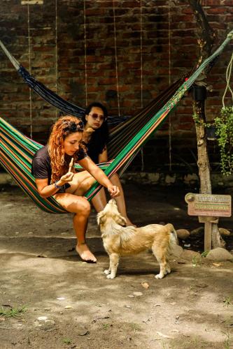 a man and a woman sitting in a hammock with a dog at Hotel Sol del Desierto in Villavieja