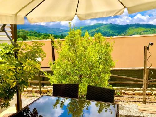 two potted plants sitting on a table under an umbrella at Cuore Della Valle in Cefalù