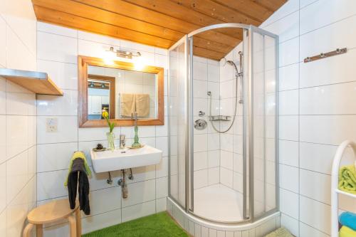 Koupelna v ubytování Haus Alexandra