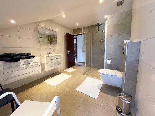 a bathroom with a shower and a toilet and a sink at Vakantieappartement Diepstraat in Eijsden