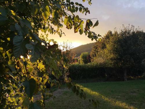 a view of a garden with the sun setting at Alba Morus Bed & Breakfast sentiti a casa nel cuo in Arezzo