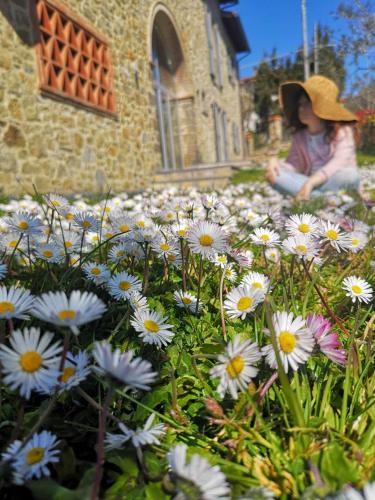 a little girl sitting in a field of flowers at Alba Morus Bed & Breakfast sentiti a casa nel cuo in Arezzo