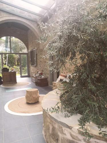 a living room with a large tree in a building at Alba Morus Bed & Breakfast sentiti a casa nel cuo in Arezzo