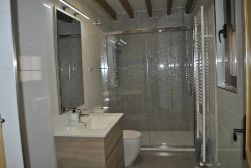 a bathroom with a shower and a sink and a toilet at CASA NATALIA, San Vitero in San Vitero