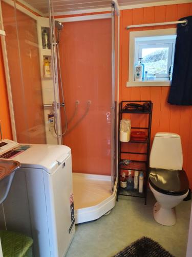 un piccolo bagno con doccia e servizi igienici di Sjøhaug Rorbu a Moskenes