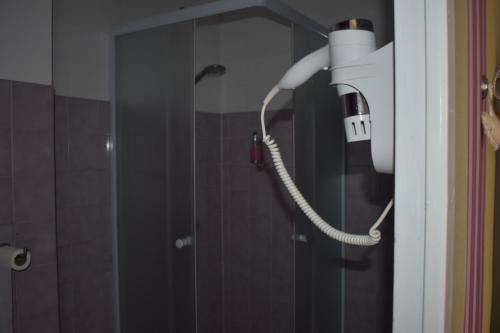a shower in a bathroom with a blow dryer at Hôtel Le Mélèze in Moirans-en-Montagne