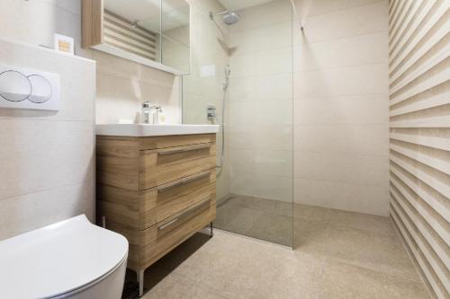 a bathroom with a shower and a toilet and a sink at Villa Una in Kotor