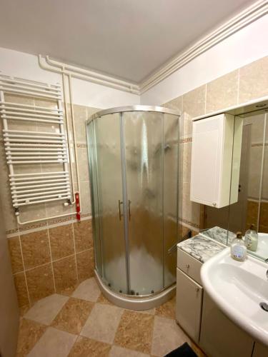 a bathroom with a shower and a sink at Apartments Miklus in Portorož