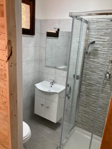 łazienka z toaletą, umywalką i prysznicem w obiekcie Villa Gioia relax immersi nel verde w mieście Aiello del Sabato