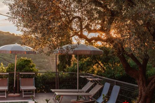 a group of chairs and umbrellas on a patio at B&B La Mortella in Albanella