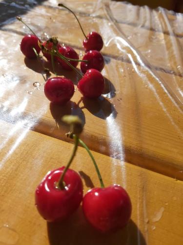 a bunch of red cherries on a wooden table at Versigglhof in Appiano sulla Strada del Vino