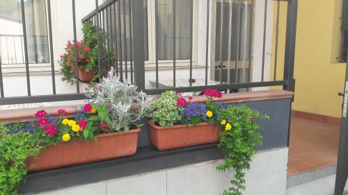 a group of flowers on a window sill at Appartamenti Borghetto San Donato 105 in Bologna