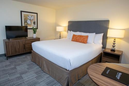 Lakeshore Inn Image