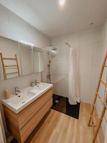 une salle de bain avec un lavabo, un miroir et une douche dans l'établissement Le 16 - Charmant appartement proche du centre ville, à Strasbourg