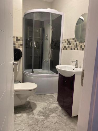 a bathroom with a shower and a toilet and a sink at Perla Muntilor Ponoarele, Padurea de liliac in Ponoarele