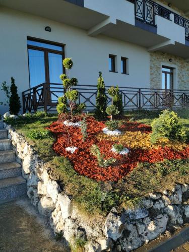 Zahrada ubytování Milmari Resort M16 Markovic
