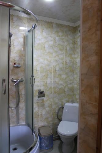 a bathroom with a toilet and a shower and a sink at Manor "U Bervinovy" in Yaremche