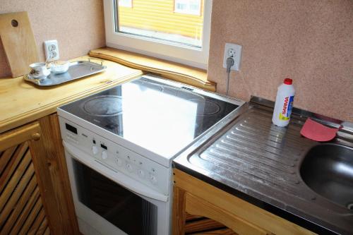 a small kitchen with a stove and a sink at Manor "U Bervinovy" in Yaremche