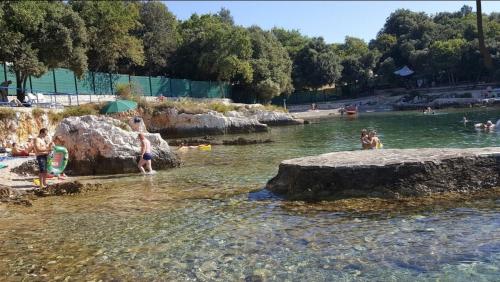a group of people and a dog in the water at Alba Sanja i Teran in Funtana