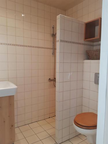 a bathroom with a toilet and a sink at Vakantiewoning Zwaluw Beerze in Beerze