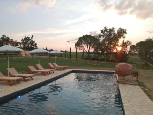 a pool with chairs and umbrellas in a yard at Wine Resort Colsereno in Montalcino