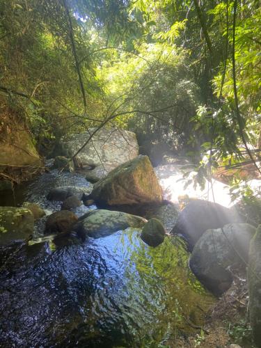 a stream of water with rocks in a forest at Casa da Si Hostel in Ubatuba