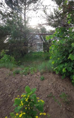 a garden with a house in the background at Zielony domek nad Marychą w Budwieć in Stanowisko