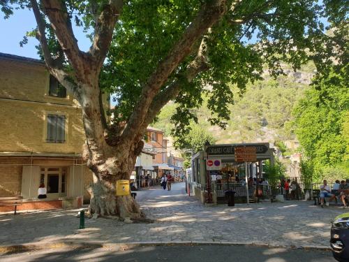 a tree in the middle of a street at Atelier n°4 in Fontaine-de-Vaucluse