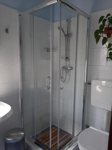 a shower with a glass door in a bathroom at cà bianca in Latisana