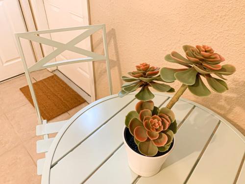 Succulent Studio by beach w/full kitchen