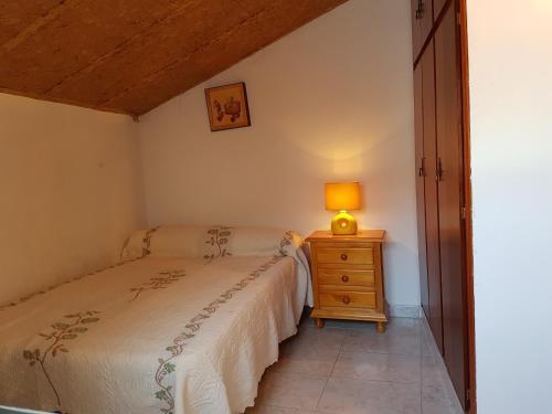 a bedroom with a bed and a lamp on a night stand at Enjoy Gredos in El Arenal