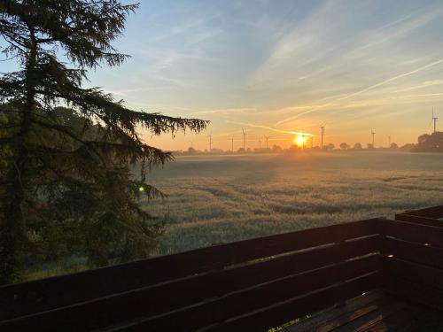a field with the sun setting in the background at K 357 - Low budget Hotel in Ratekau bei Lübeck in Ratekau