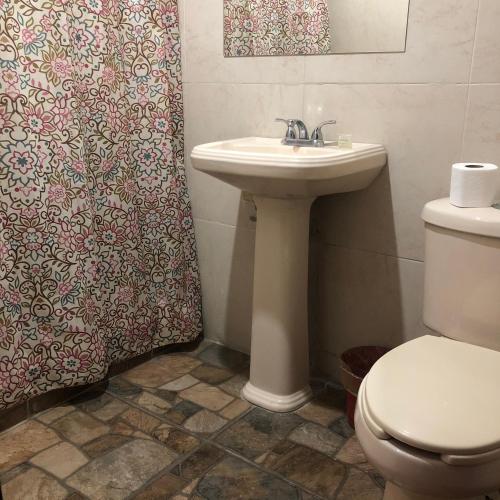 a bathroom with a sink and a toilet and a shower curtain at Hotel Boutique El Sueño del Coronel in Río Verde