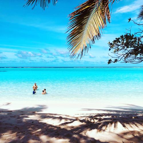zwei Personen stehen im Wasser am Strand in der Unterkunft Dacha Thoddoo in Thoddoo-Atoll