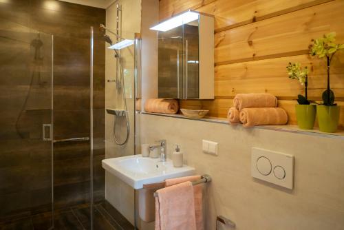 a bathroom with a sink and a shower at Wendenkoenighof in Kolonie