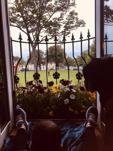 a person looking out of a window at a garden at Malin TownHouse in Malin