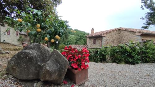 Jardín al aire libre en Agriturismo I Cedri