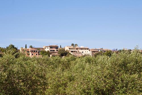 a group of houses on top of a hill with trees at S'Hort de Son Caulelles - Adults Only in Marratxí 