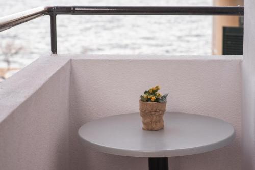a small plant sitting on top of a table at Yria Hotel in Zakynthos Town