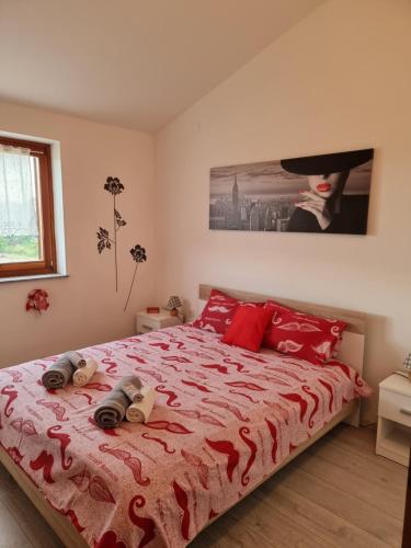 Apartments Jana