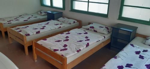 Voodi või voodid majutusasutuse Aqua Hostel toas