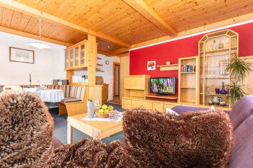 TV a/nebo společenská místnost v ubytování Haus Alexandra