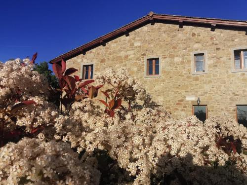 Il Cerro – Photos 5